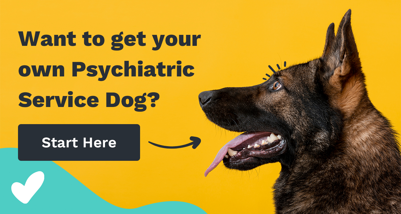 psychiatric service dog training