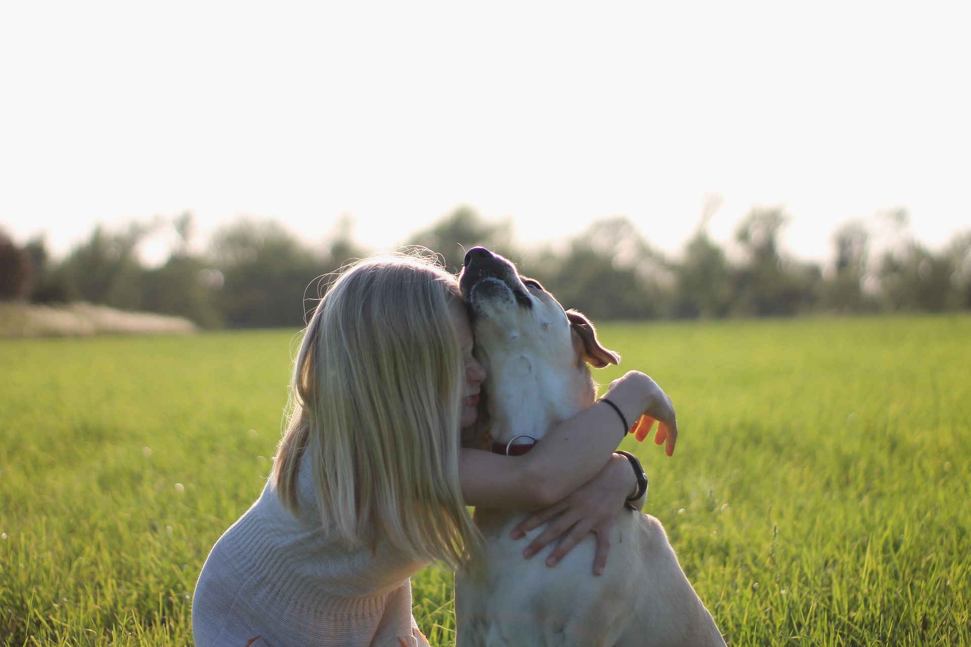 autism-service-dog