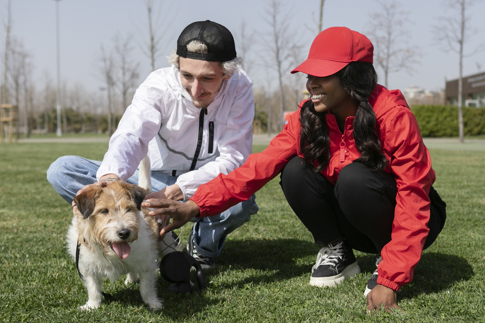 How Long Does It Take To Train A Service Dog For PTSD 